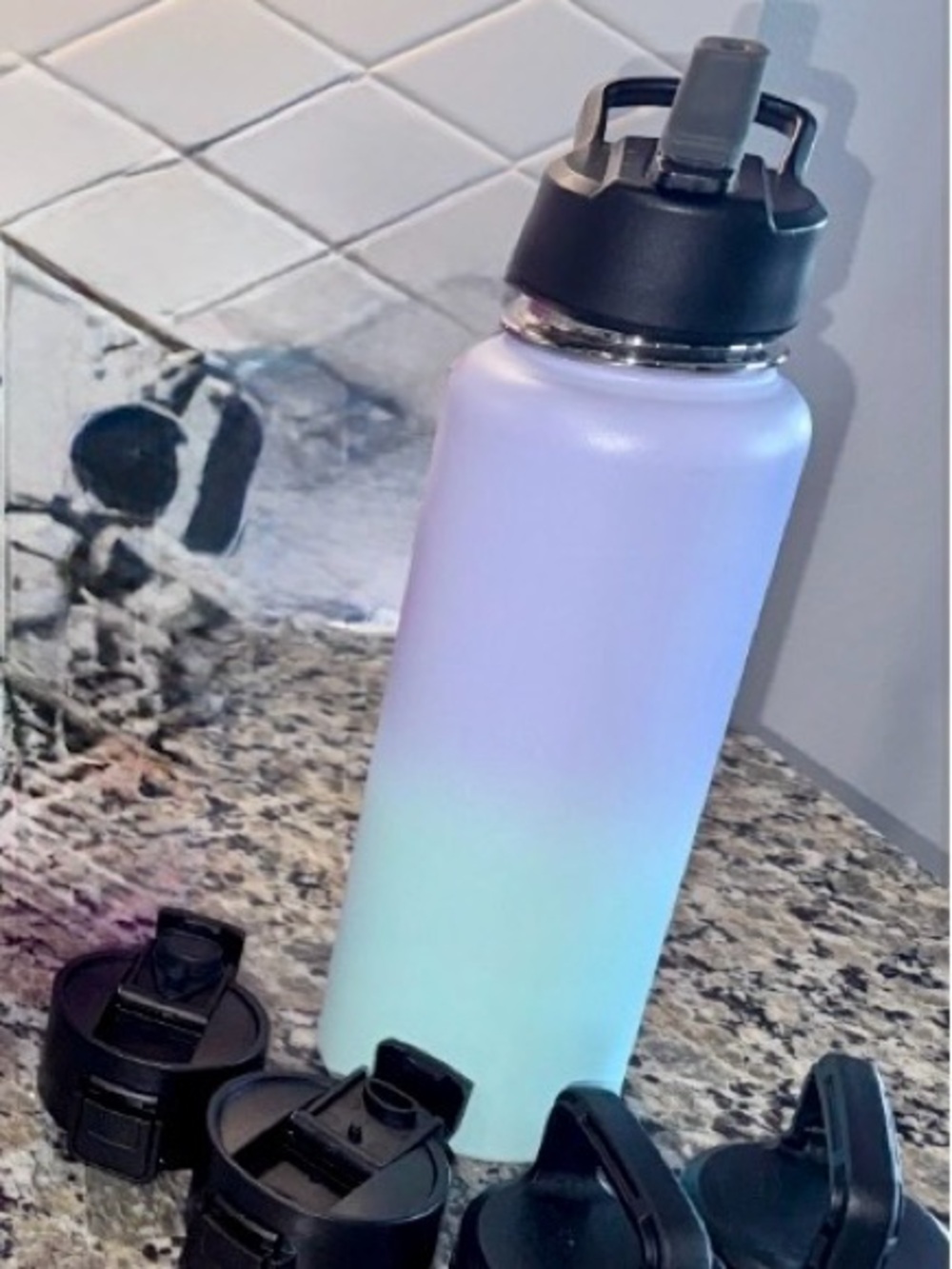 Gradient Stainless Water Bottle